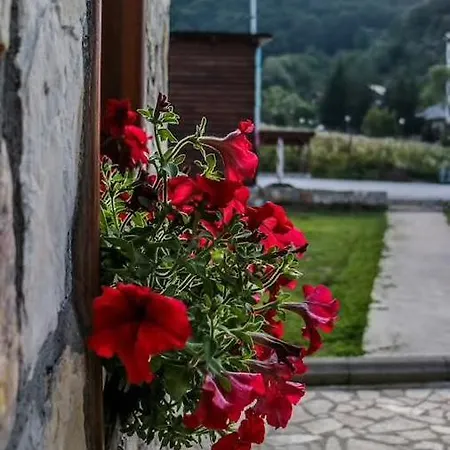 'iva' Appartement